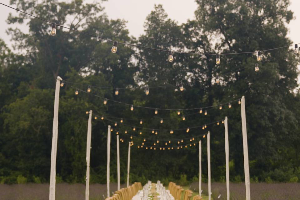 Large Walking rows for tables