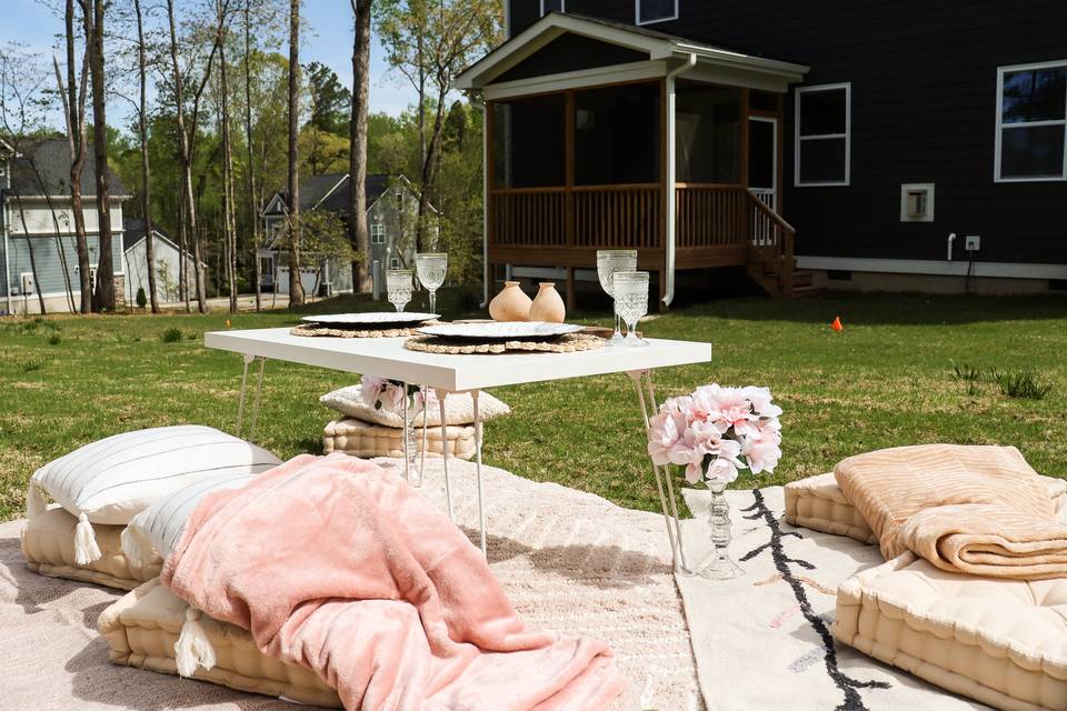 Picnic setup