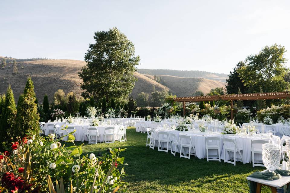 Reception Lawn