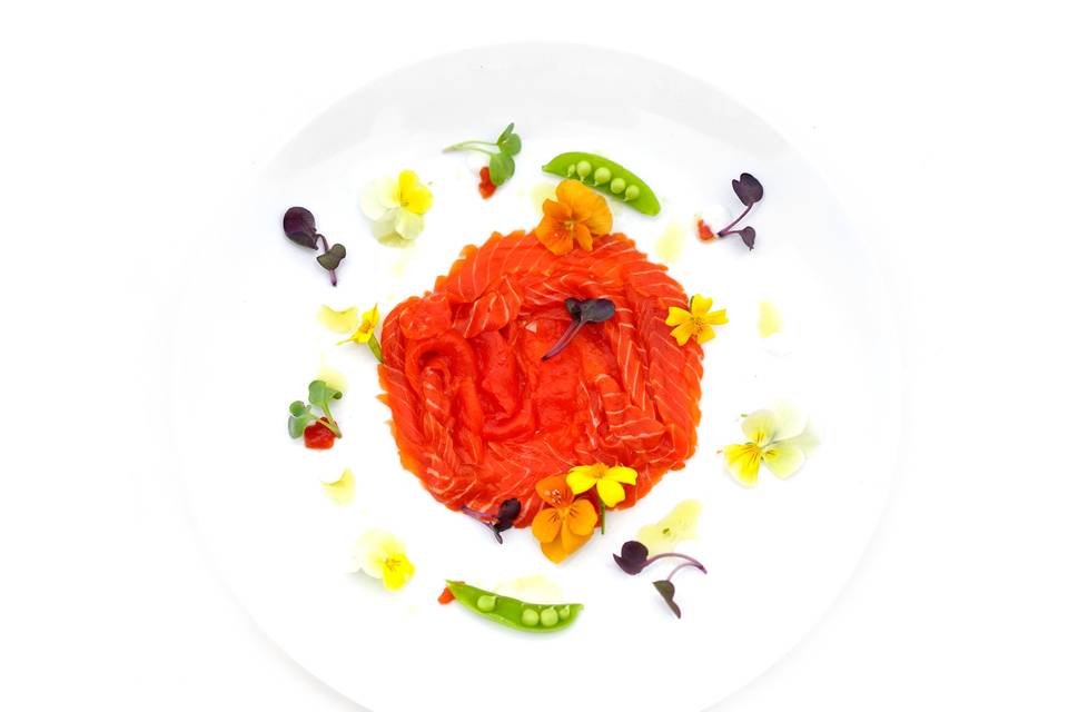 sockeye crudo + spring garden
