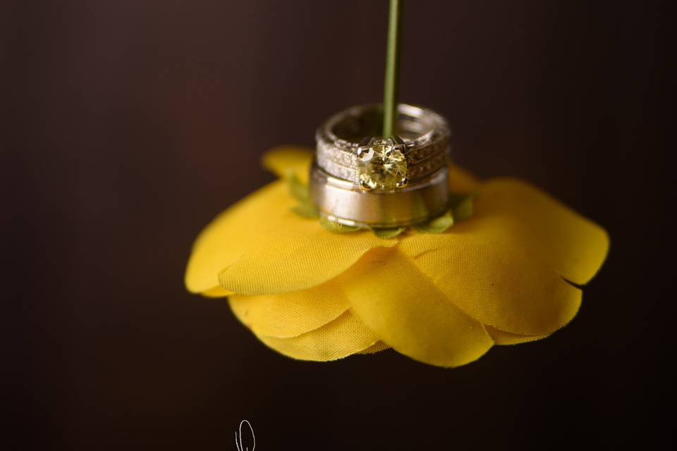 Ring-Wedding Details- Sedona Wedding