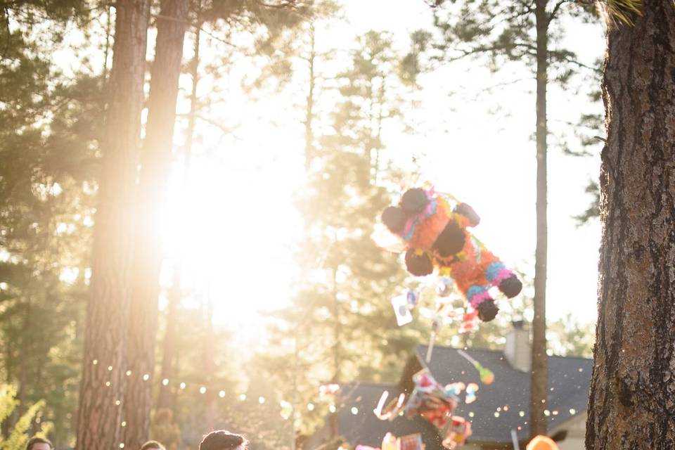 Flagstaff wedding-reception