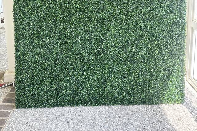 Boxwood