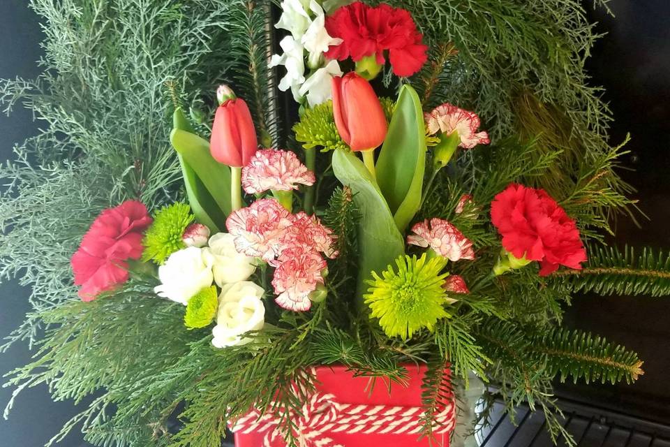 Festive arrangement