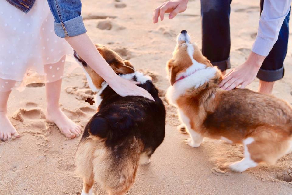 Feet in the sand