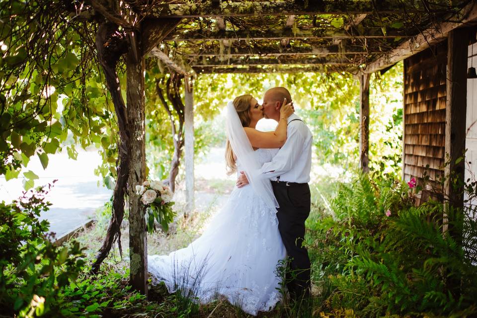 Under the grape arbor