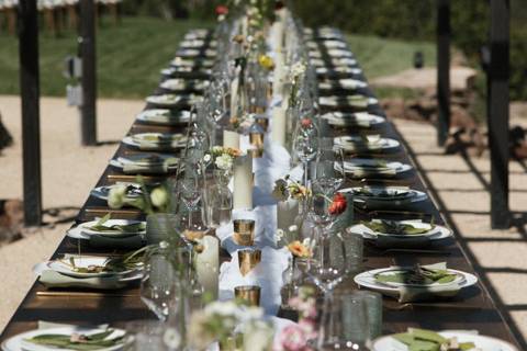 Dinner under the arbor