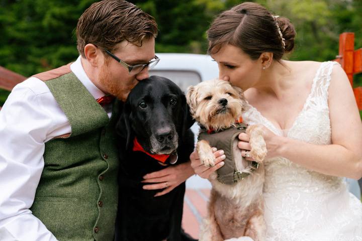 Couple with their fur-babies
