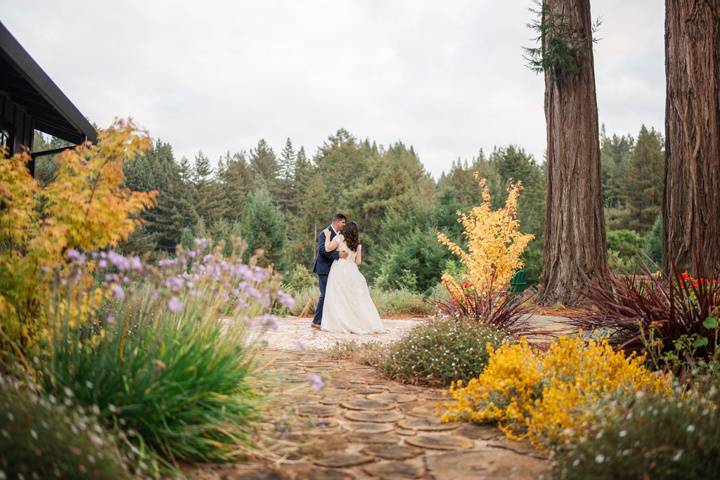 Garden path