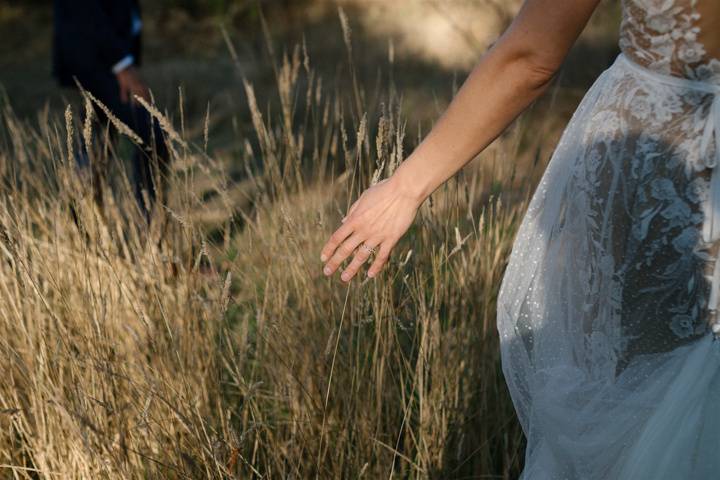 Photos in the orchard