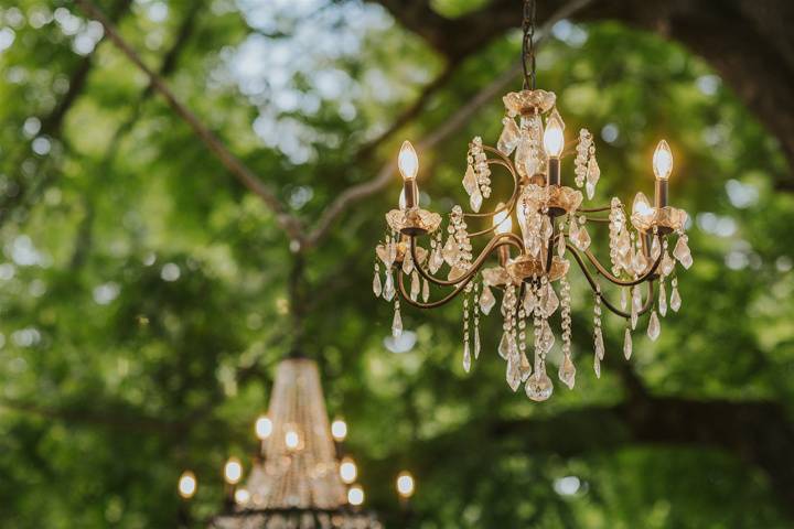Chandeliers in the trees