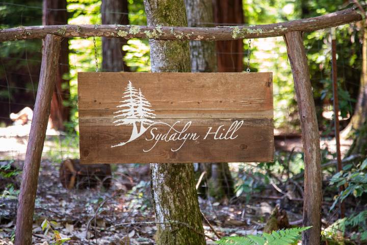 Sydalyn Hill