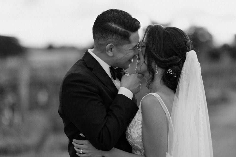 A kiss before the reception