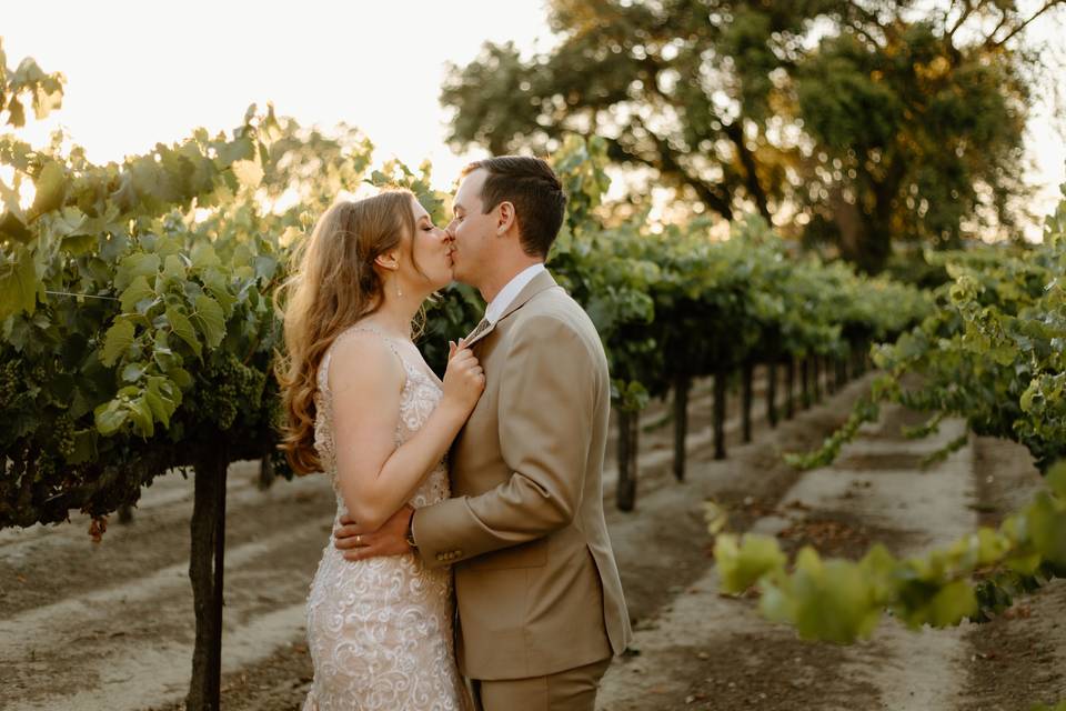 Scribner winery vines in june