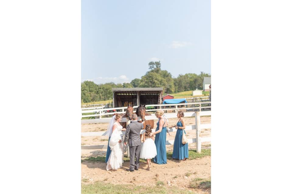 Wedding party with horses!