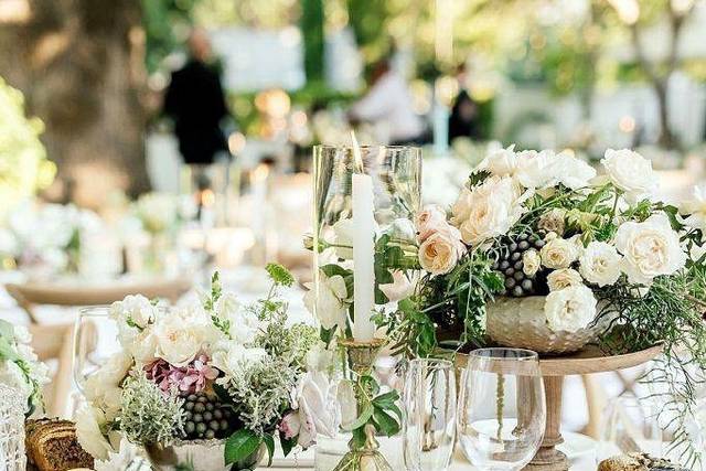 Garden reception setup