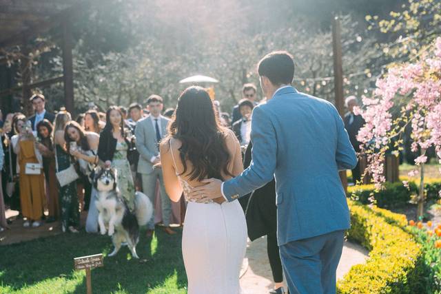 Napa Wedding