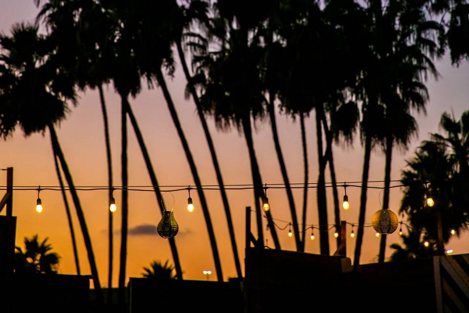 Party under the palms