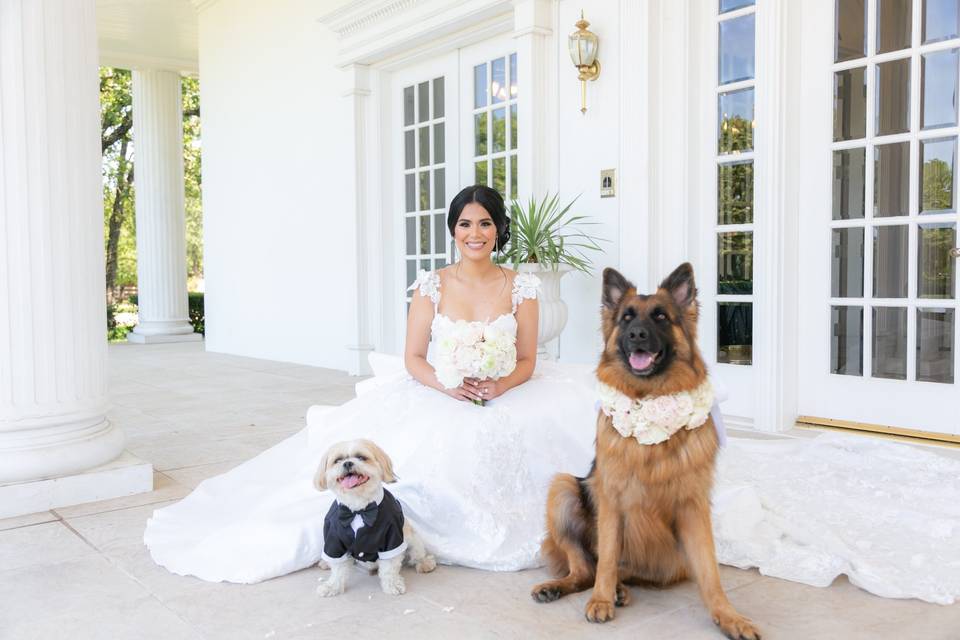Monica Salazar - Dallas Wedding Photographer