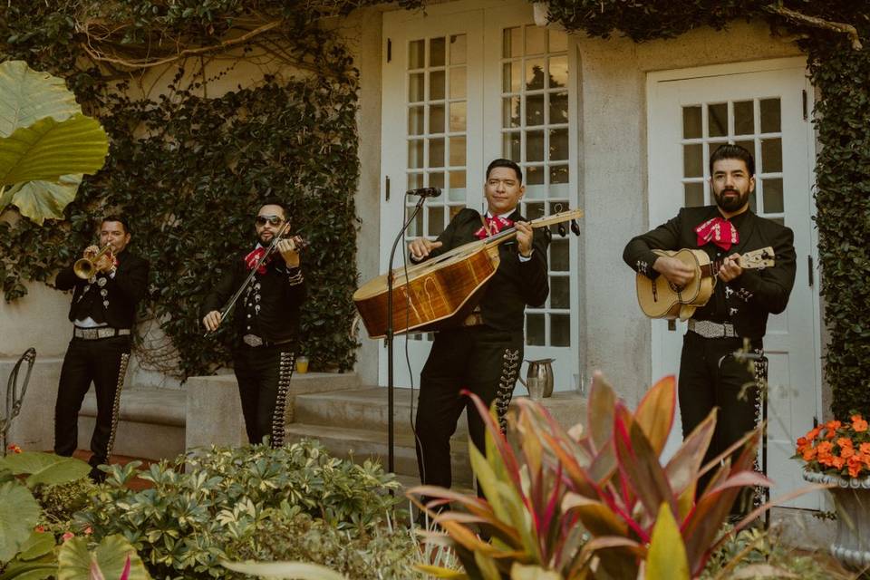 Cocktail Hour Mariachi