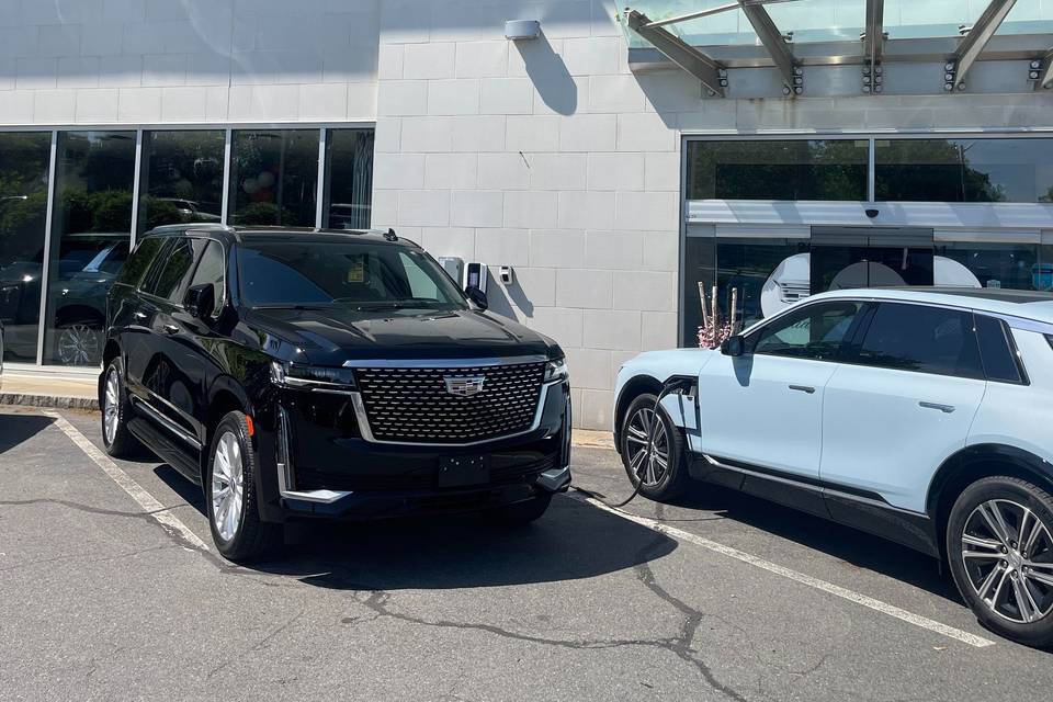 Francklin limo & Transportation Services