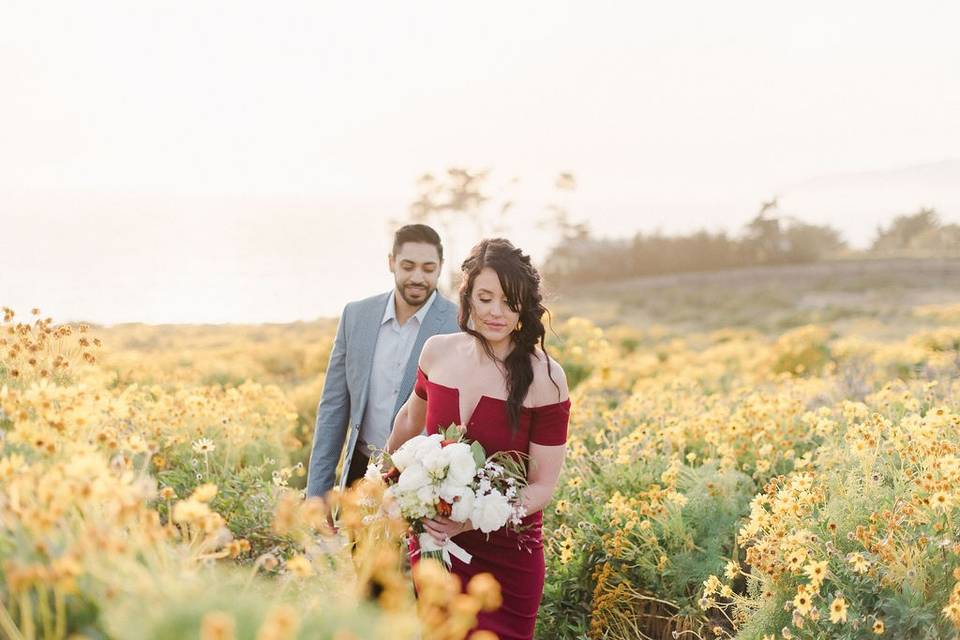 Engagement photo session