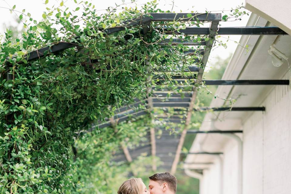In the orchards