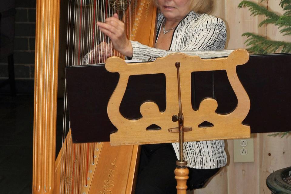 Karen Westgate, Harpist