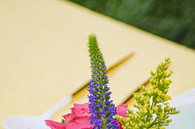 Colorful flowers