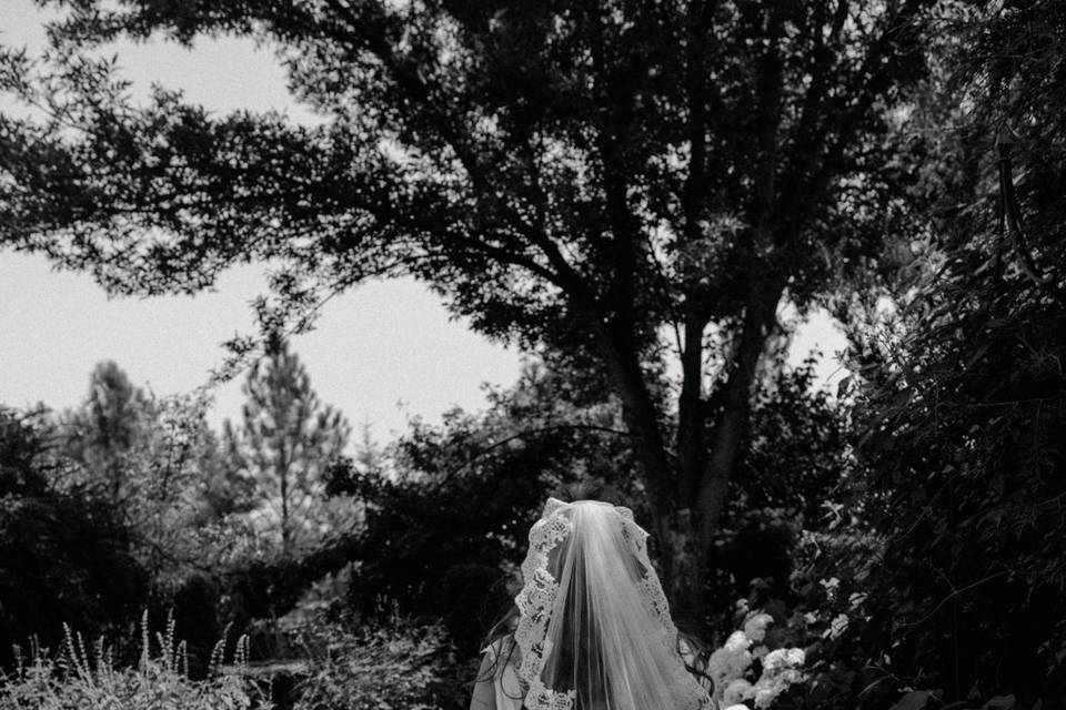 Bride in a garden