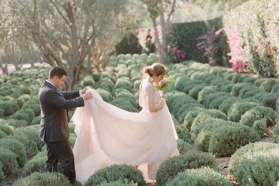 The bride and groom