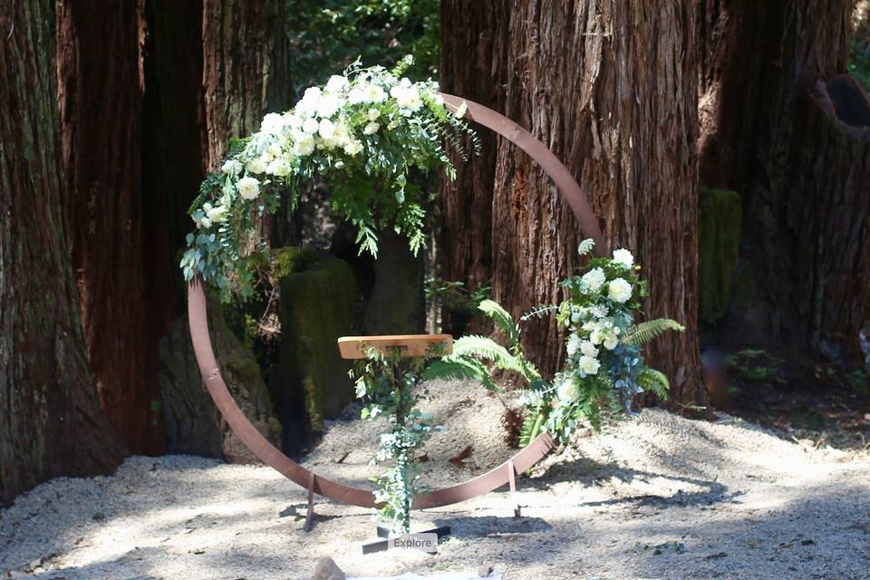 Redwoods Ceremony Circle