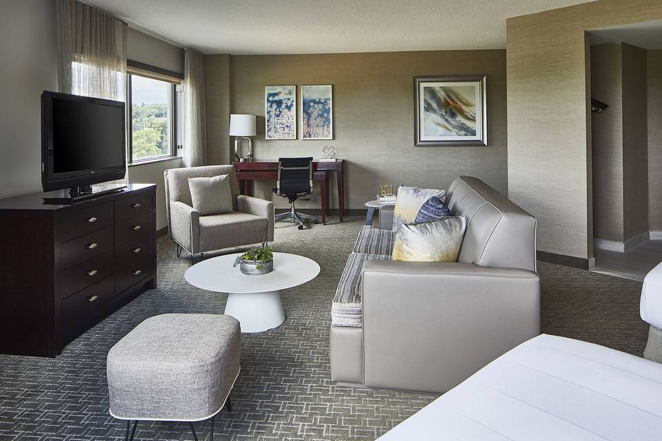 Marriott King Room Suite