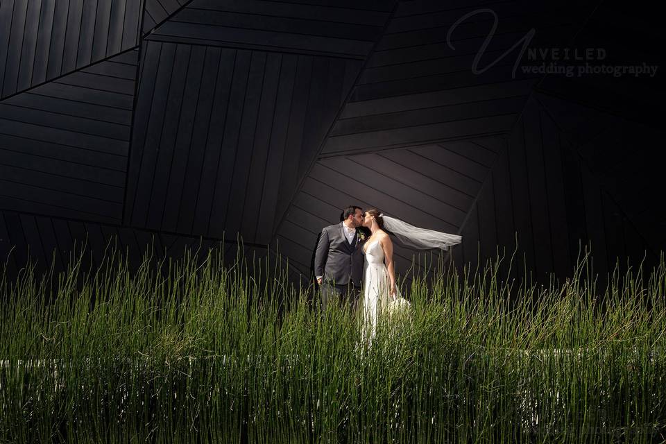 Unveiled Wedding Photography