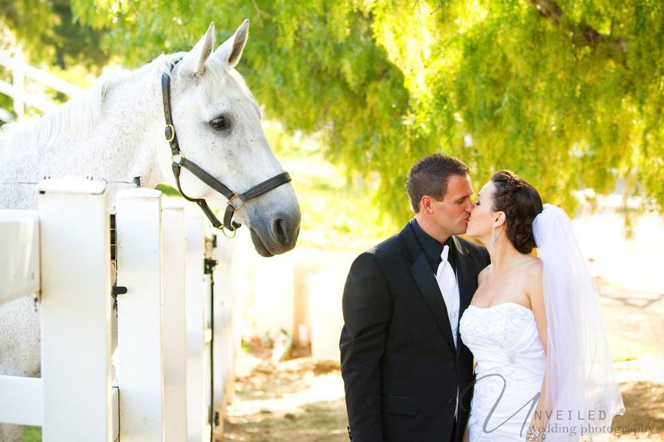 Unveiled Wedding Photography