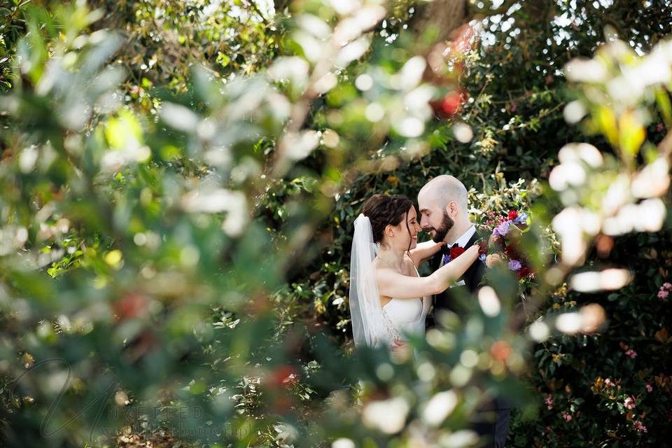 San Diego Wedding Photographer