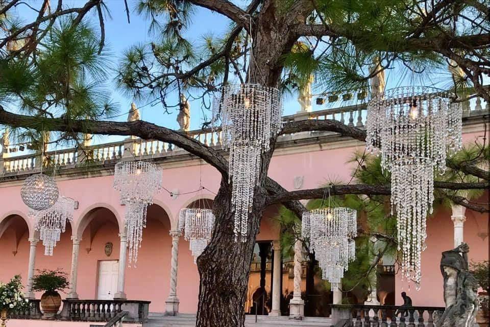 Trees wrapped & pendant lights