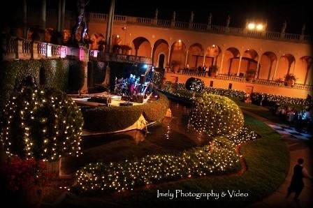 Twinkle lights in bushes