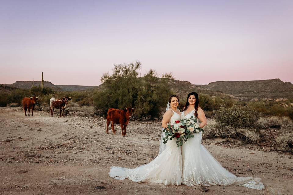 Arizona 2 brides