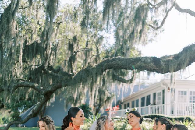 The terracotta of our dreams