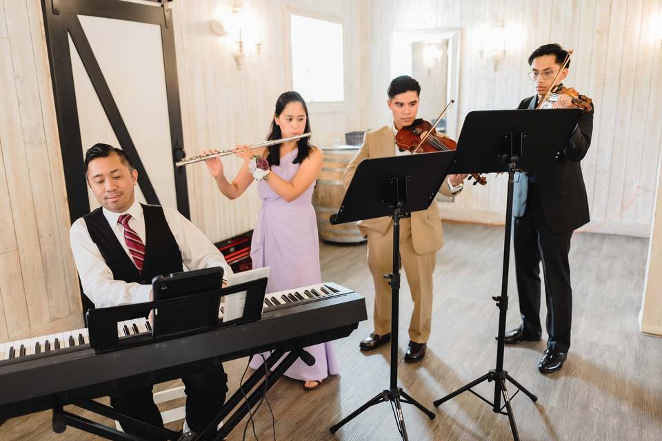 Piano by Sanford Ensemble
