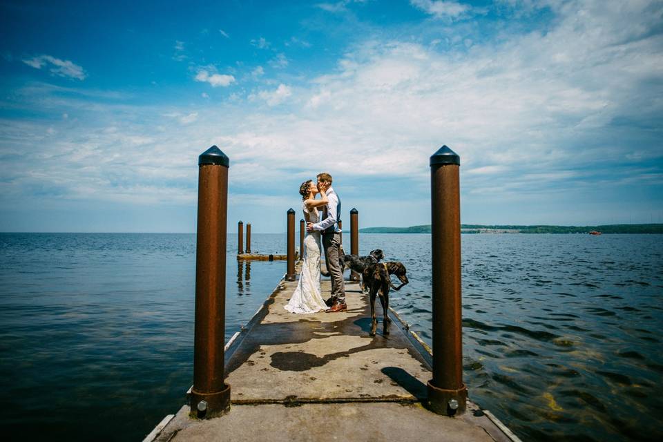 Dogs on the Dock