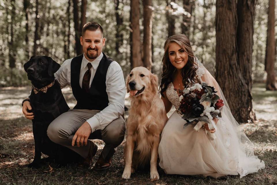 Newlyweds and their furry friends