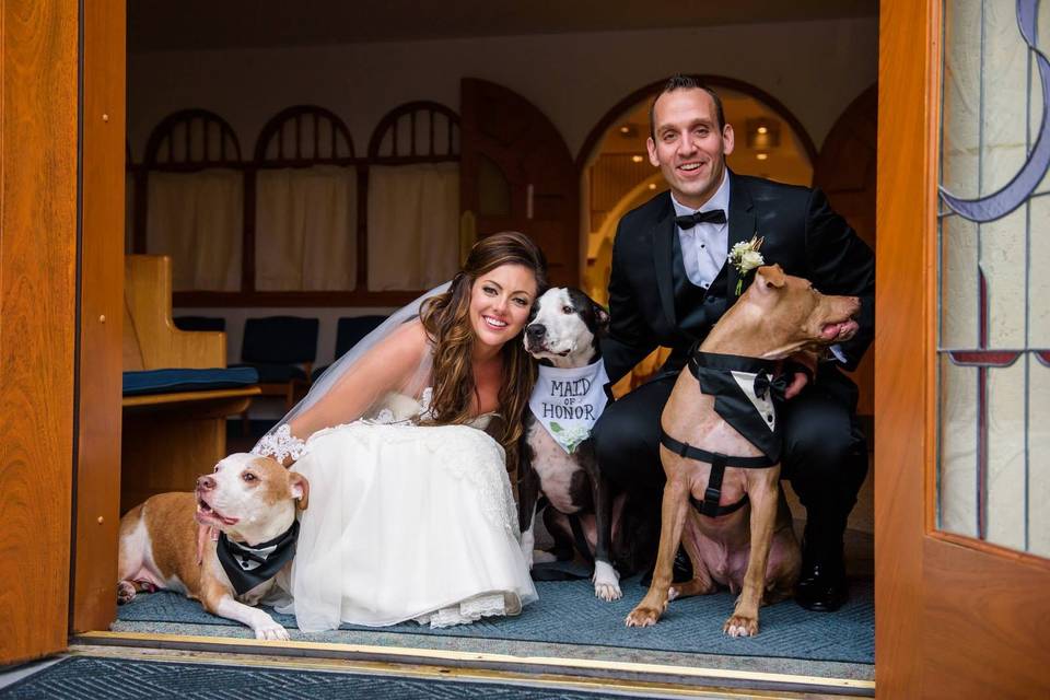 Fur babies Maid of Honors