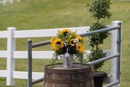 Country Time Party Rentals