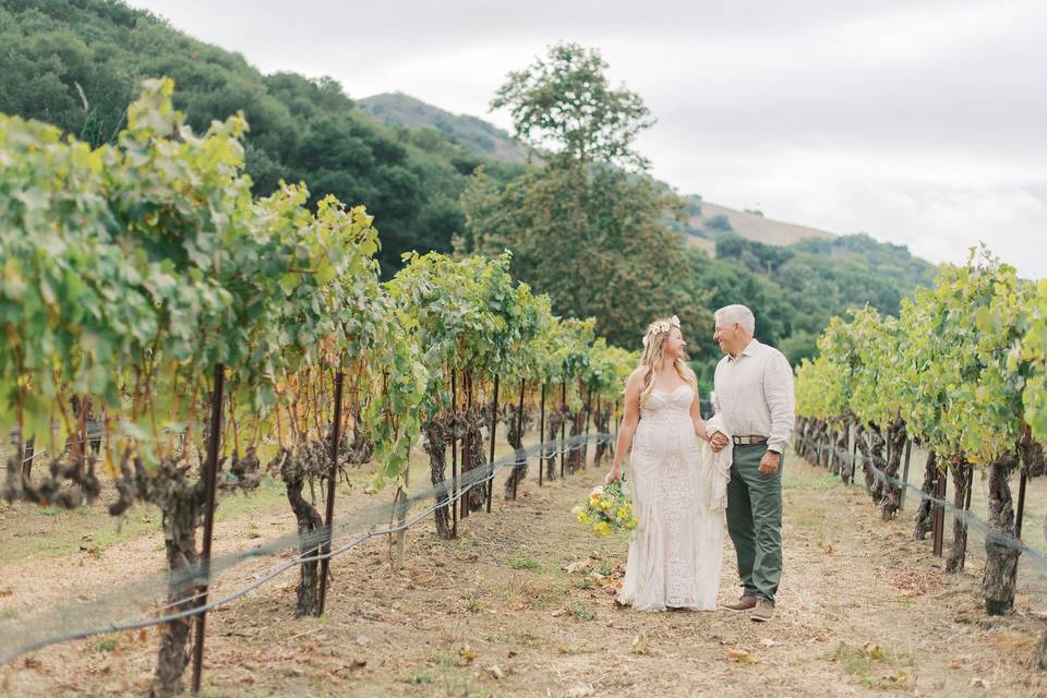 Vineyardhttps://cdn0.weddingwi