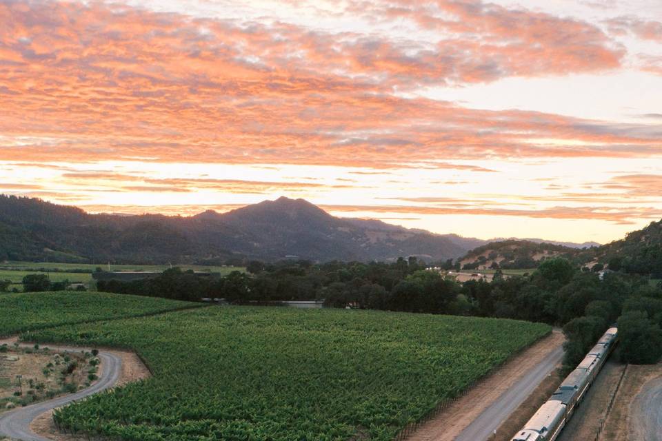 Estate at Yountville