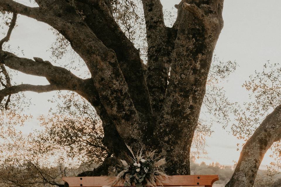 Bohemian Altar