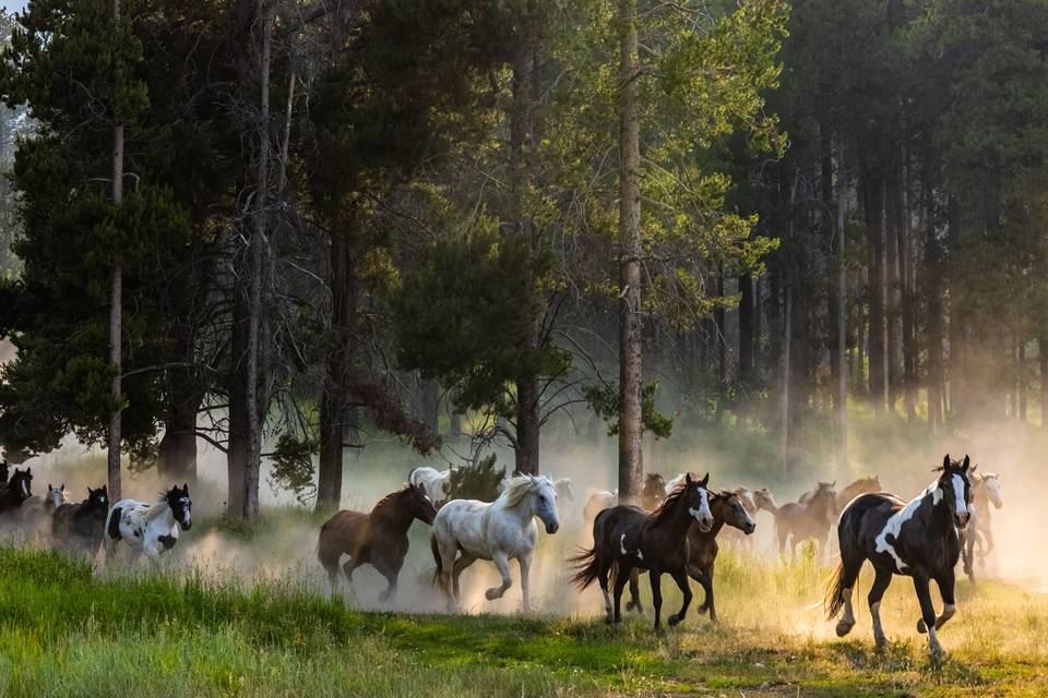 Snake River Ranch