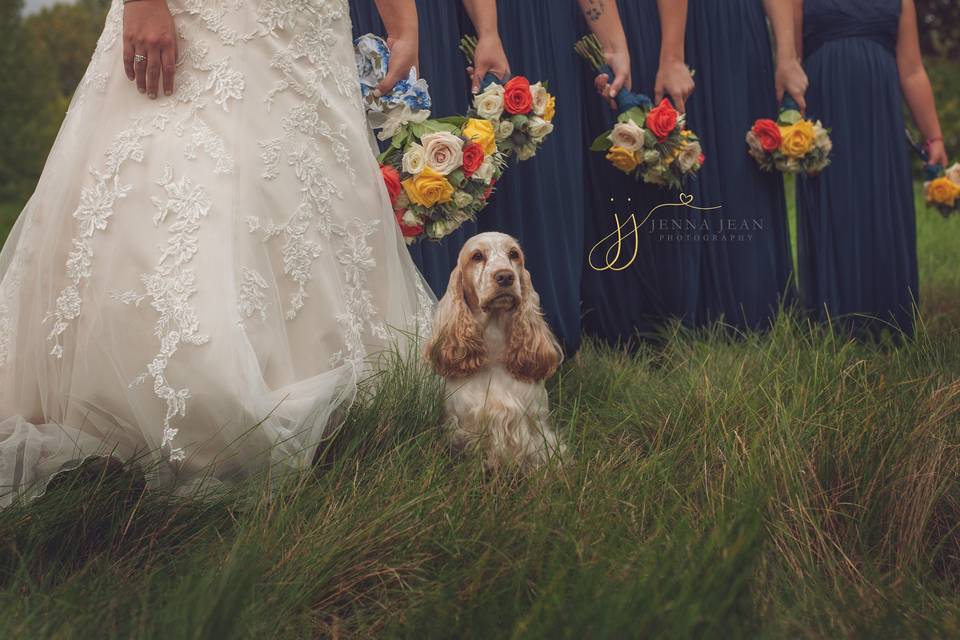 Jenna Jean Photography